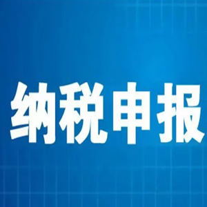 纳税申报