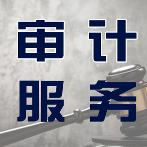 审计服务
