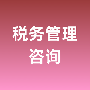 税务管理咨询
